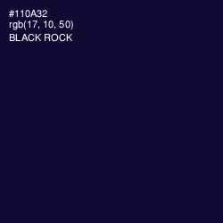 #110A32 - Black Rock Color Image